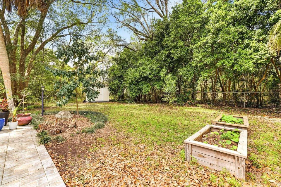 Outdoor garden space with trees and plants.