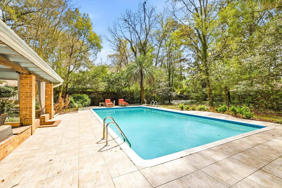 Sunny backyard with swimming pool